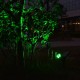 Foco LED Solar exterior jardin IP65 Luz Verde