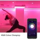 KIT Tira LED 10 mts Flexible 24V 24W 240 Led SMD 5050 IP20 RGB Wifi, para Smartphone y control voz