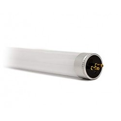 Tubo LED T5 550mm Cristal 8W Blanco Neutro, conexión 2 lados
