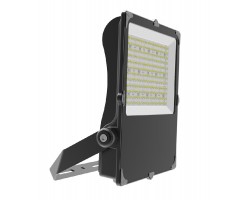 Foco Proyector LED exterior SLIM 100W IP-66 Asimétrico ASI2 Regulable 1-10V