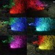 Foco LED Solar exterior jardin con piqueta 2W IP65 7 Colores